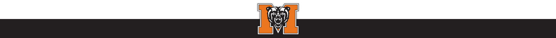 Lindsay Fico Softball Camps