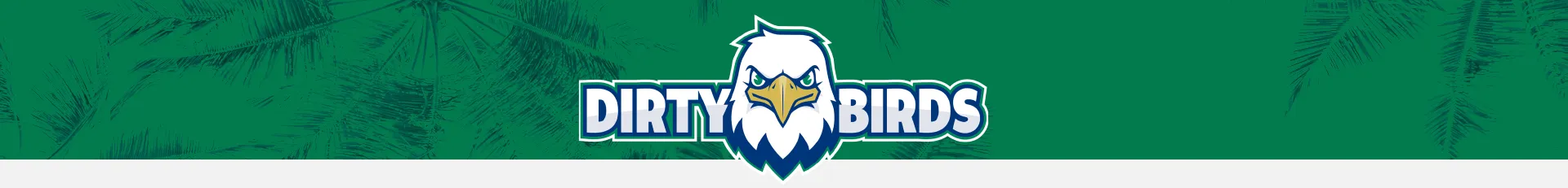 Lindsay Fico Softball Camps