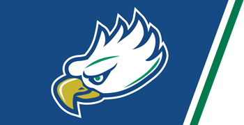 Lindsay Fico Softball Camps
